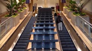 WATER TOWER PLACE - CHICAGO ILLINOIS