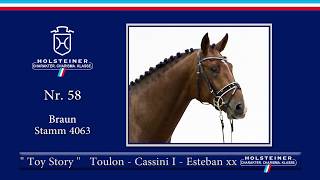 Holsteiner Körlot 2018 | Nr. 58 - TOY STORY v. Toulon - Cassini I