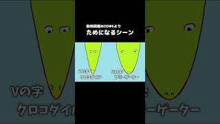 【襲われた時用】ワニの違い調べてみた【あかがみん/赤髪のとも】#shorts