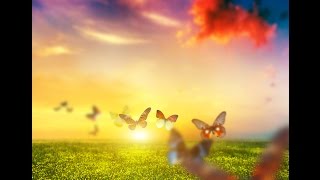 Relaxing Inner Peace Music ♫ Calming Music | Relaxation | Quiet Time | Time off ♫ Stress Relief ♫