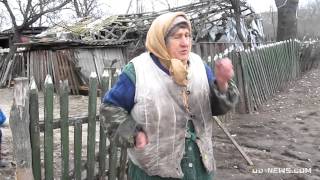 Забытое село в Одесской области атакуют волки