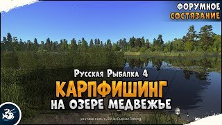 А на медвежке не клюет! Челендж на щуку  • Русская Рыбалка 4