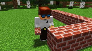 First Building MrUnfiny (Minecraft Animation)
