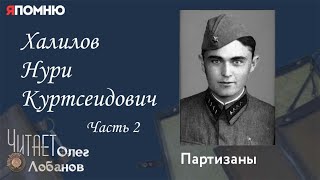 Халилов Нури Куртсеидович. Часть 2. Проект "Я помню" Артема Драбкина. Партизаны.