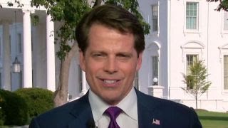Scaramucci: DC needs to suppress instinct to hurt Trump