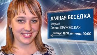Дачная беседка. Посадка озимого лука . (эфир от 22.10.2015)