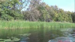 Жирновск. Река Медведица 2012