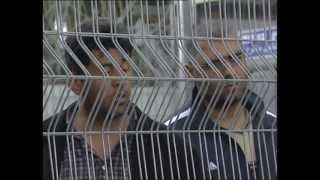 freedom of prisoners-2
