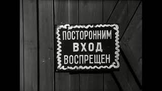 Дети отдельно - родители отдельно!