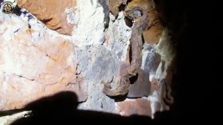 Подземелья королевского замка Кенигсберг