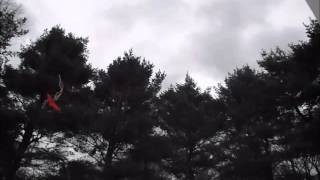 'Why I Like Wind Power' Video by Tom Williamson