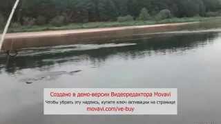 Неман, сентябрь, сом 1,80м на DUO Deep Feat