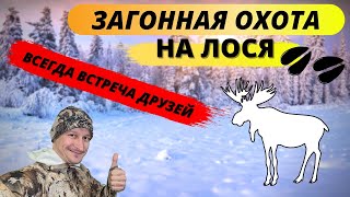 Еще один загон на лося! / Another moose !