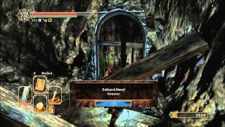 dark souls 2 Ornifex befreien und wo er ist Deutsch/German