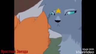 Коты-Воители Огнезвёзд, Песчаная Буря и Пестролистая - Мы элита ( Заказ )
