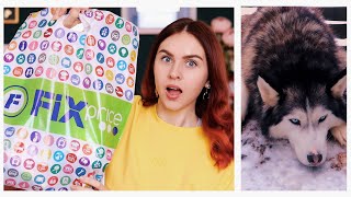 ТАКОГО В ФИКС ПРАЙС Я НЕ ОЖИДАЛА УВИДЕТЬ! КАК ПОСЛЕ ТАКОГО НЕ ЗАХОТЕТЬ СОБАКУ?!
