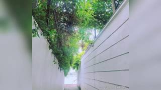 Hà Nội Có Phải Là Anh (Original By Hnhngan) - Video by Peter Trương