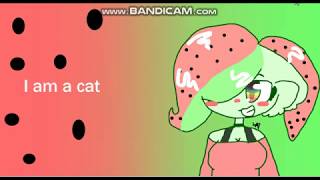Channel trailer-Watermelon the cat Lazystorm's wife