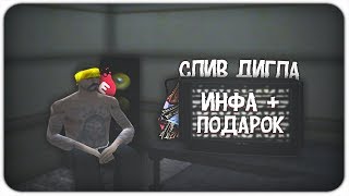 СЛИВ 2-ух ПРИВАТНЫХ ДИГЛОВ ДЛЯ GTA SA?