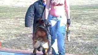 Ольга Аверина и Хром, Дмитрий Фатин подготовка к ЧМБО 2009, защита проводника