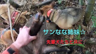 【狩猟】イノシシ 銃猟 02011201