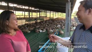 เกษมพัฒน์ฟาร์ม(KPF)