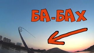 Вечерние судаки ДОЛБЯТ Рафаэля. Беспредел сумеречных разбойников.