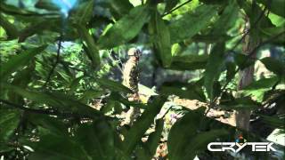 CryEngine 2 Demo