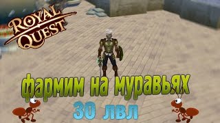Royal Quest | "выполняем миссии,фармим на муравьях"