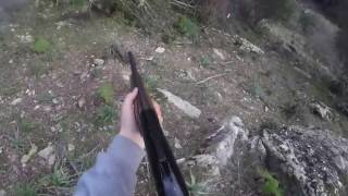 Caccia al cinghiale Sardegna Barbagia