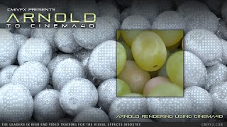 Arnold C4D Vimeo