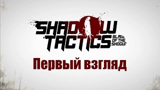 Shadow Tactics: Blades of the Shogun - Первый взгляд