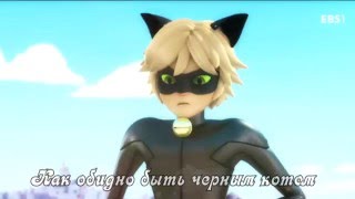 [AMV] Черный кот