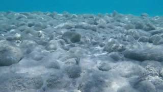 Kardamena sea 2017