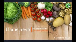 Огурец Альянс F1