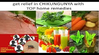 Chikungunya home remedies : how to treat at home