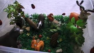 Сенсорная коробка для ребёнка - Животные леса
