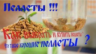 Пеллеты. Что такое хорошие пеллеты? Как выбрать и купить пеллеты?