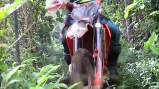 Kapahi Enduro- Part 3
