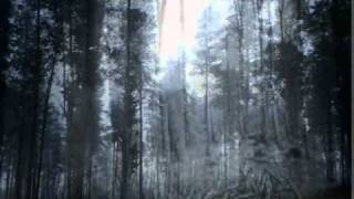 Austere - Depressive Black Metal [ The Tribute]