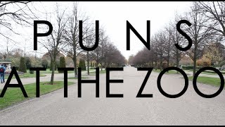 Puns at the Zoo