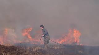 Heather Burning -  North York Moors National Park