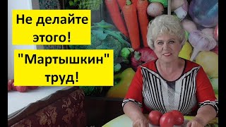 Эти удобрения нельзя применять в огороде осенью!