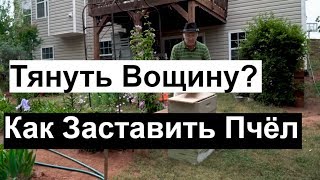 Пасека #72 Как заставить Пчел Тянуть Вощину ,Вощина Пчеловодство для начинающих