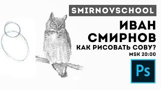 КАК РИСОВАТЬ СОВУ? Иван Смирнов. Smirnov School