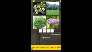 4 фото 1 слово лето 2013 ответы Windows Phone