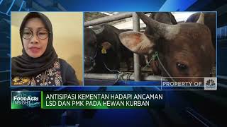 Virus Lato-lato & PMK Ancam Hewan Kurban, Kementan Siap Antisipasi!
