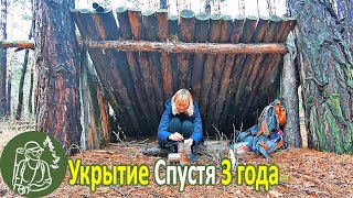 ???? Поход к лесному укрытию спустя 3 года Собираю зеленушки Неожиданный поворот событий