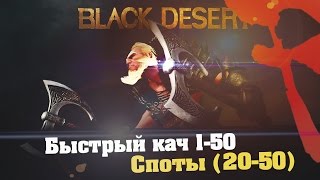 Black Desert (RU)Гайды\обзоры - Споты для кача 20-50 ур. (топ и мидл месте)