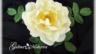 МК СОЗДАЕМ ВЫКРОЙКУ ДЛЯ РОЗЫ СПЕРАНЦА